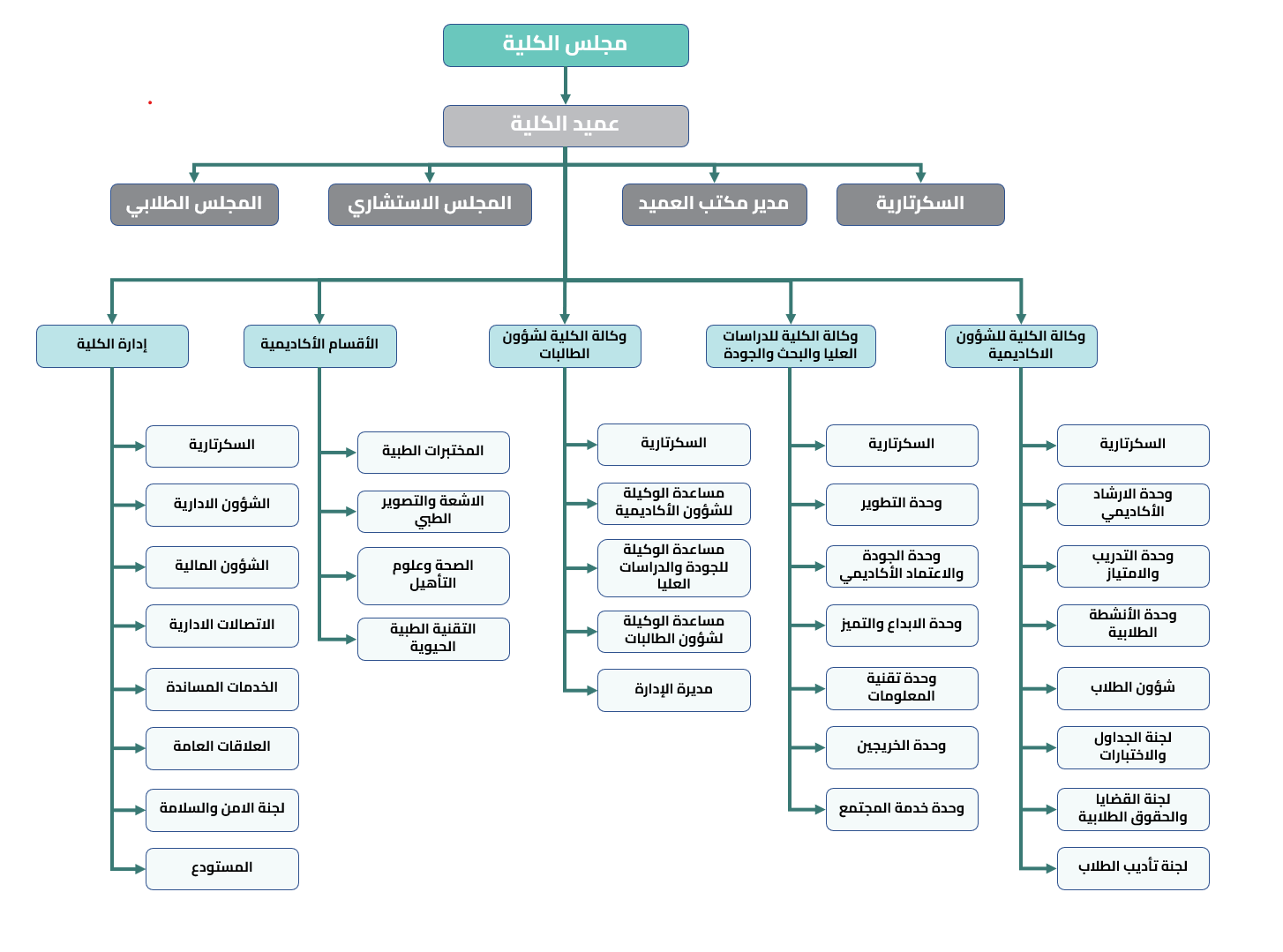 Organization_CAMS